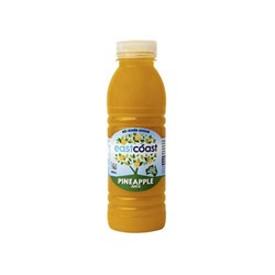 EASTCOAST RETAIL PINEAPPLE JUICE 400ML